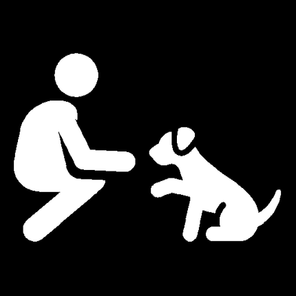 Collection image for: Training