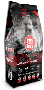 Alpha Spirit The Only One Complete Puppies
