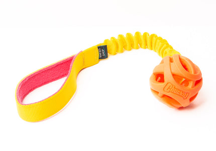 Chuckit! Fetch Ball M met bungee