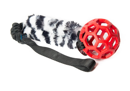 Bungee Black - Hol-EE Roller Red S - Zebra-FUR