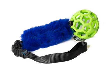 Bungee Black - Hol-EE Roller Green S - Blue-FUR