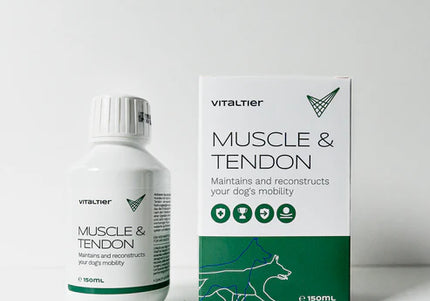 Vitaltier Muscle & Tendon