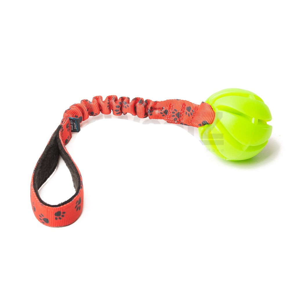 Spiral Green L met bungee