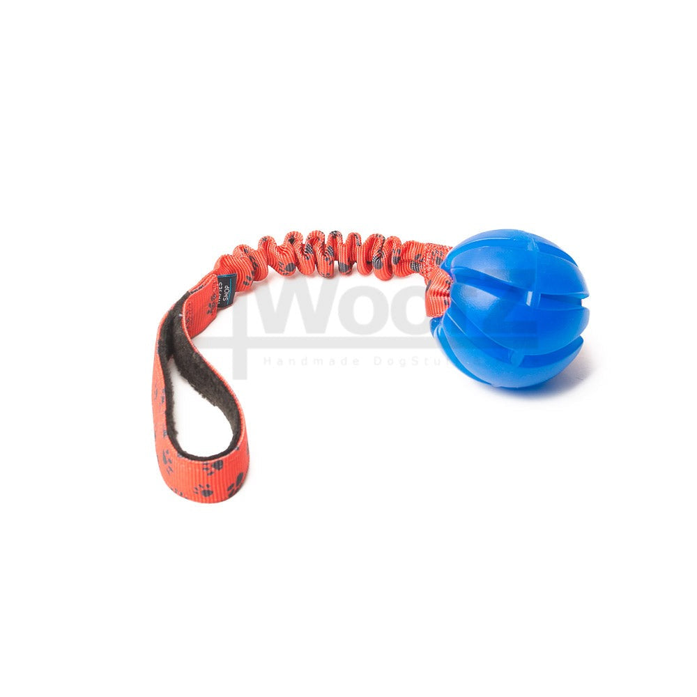 Spiral Blue L met bungee