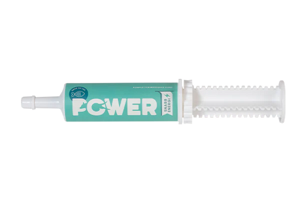 Power Pasta - Chicken