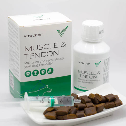Vitaltier Muscle & Tendon