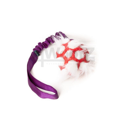 Bungee Purple - Hol-EE Roller Red S - white FUR