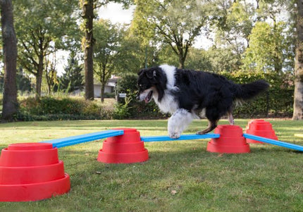 Wafjes-Fit Balance Plank Blue