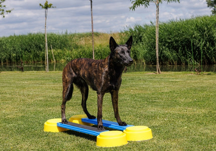 Wafjes-Fit Balance Plank Blue