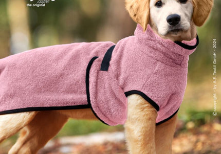 dryup Cape mini Rose