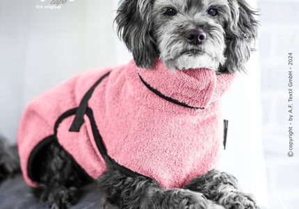 dryup Cape mini Rose