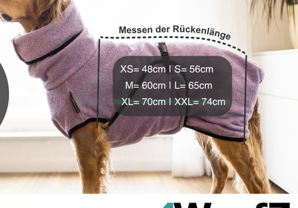 dryup Cape Blueberry