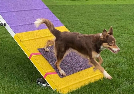 Training Target A-Frame