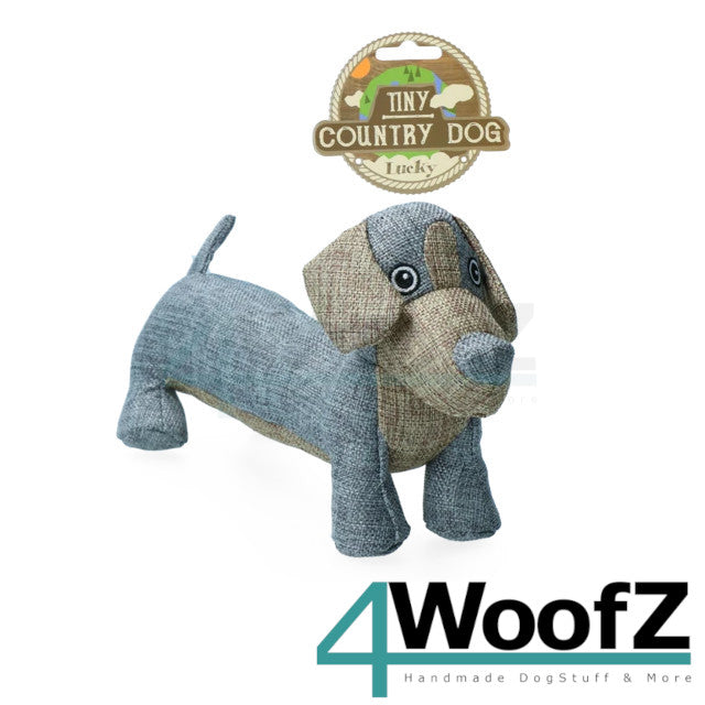 Country Dog Tiny Lucky
