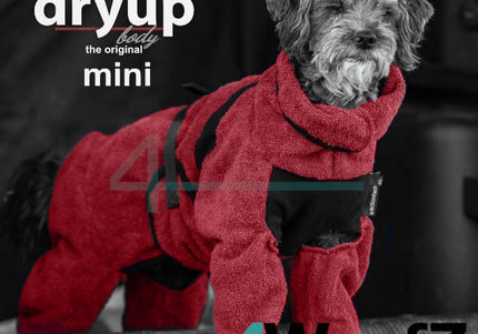 dryup Body ZIP.FIT mini Bordeaux