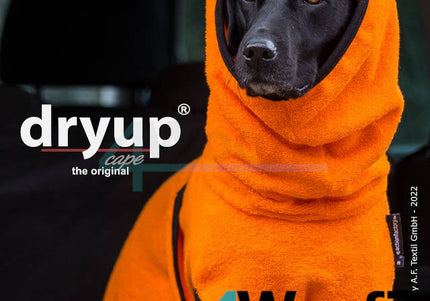 dryup Cape Clementine