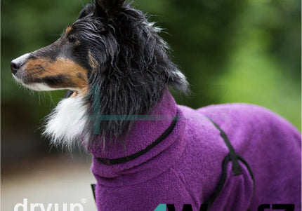 dryup Cape mini Bilberry