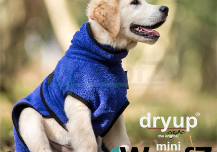 dryup Cape mini Blueberry