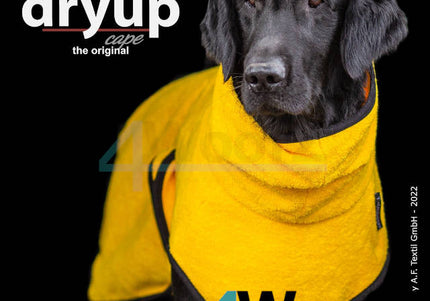 dryup Cape Yellow