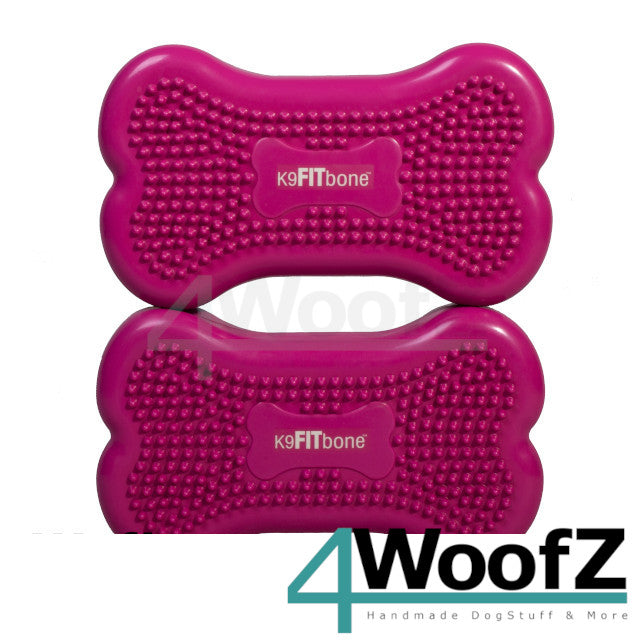 FitPAWS K9Fitbone mini