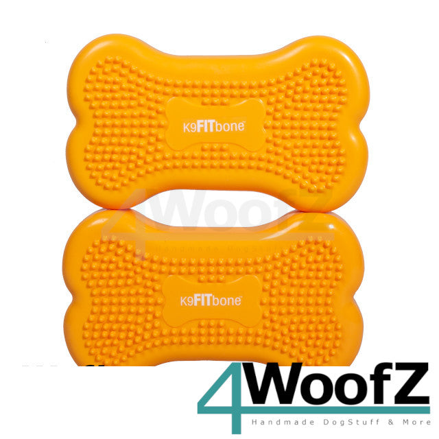 FitPAWS K9Fitbone mini
