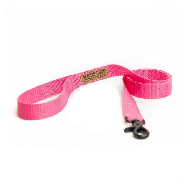 Hondenleiband PP 25mm