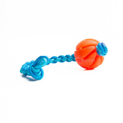 Rope Spiral XS | Blue-Blue