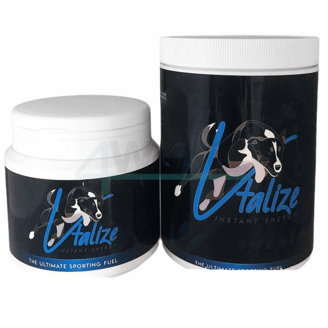 Vtalize Instant Energy