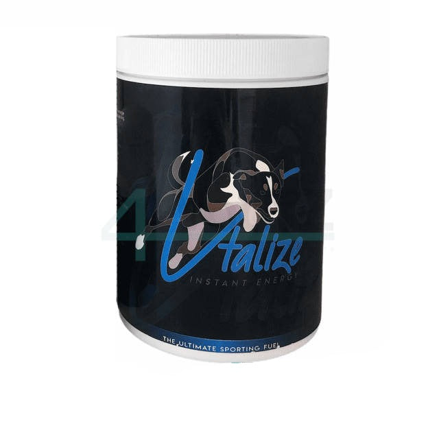 Vtalize Instant Energy