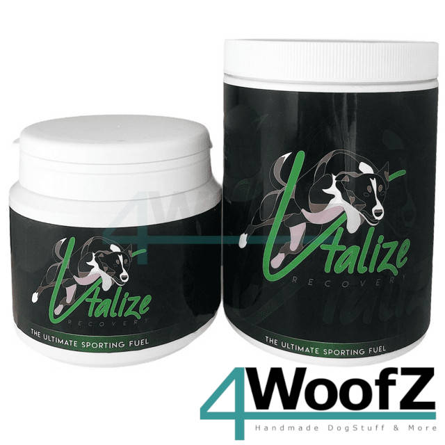 Vtalize Recovery