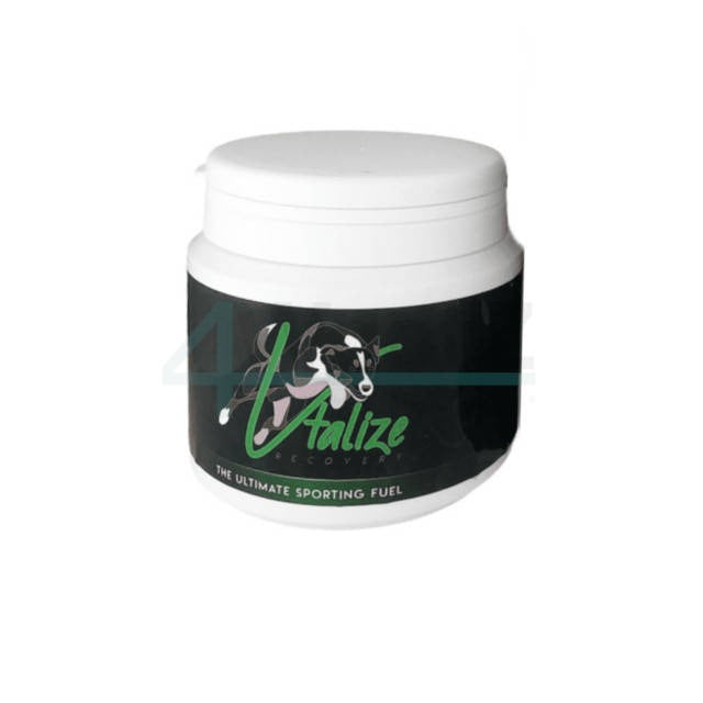 Vtalize Recovery
