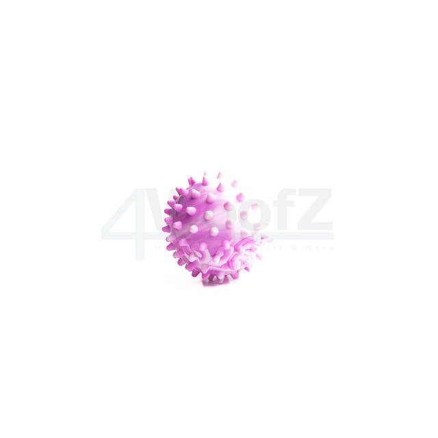 Spine Ball - XS