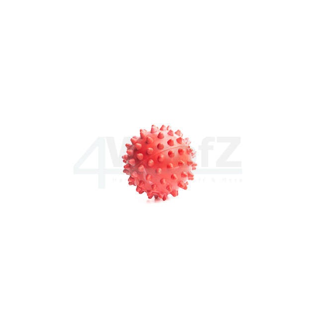 Spine Ball - XS