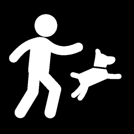 Collection image for: Agility