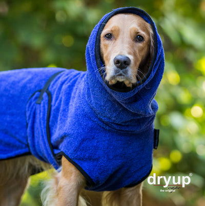 dryup