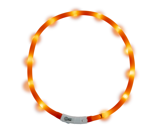 Halsband LED