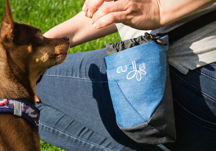 curli Treat Bag V2
