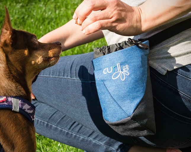curli Treat Bag V2