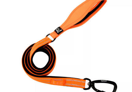 QUAPAS! Reflective padded leash Orange