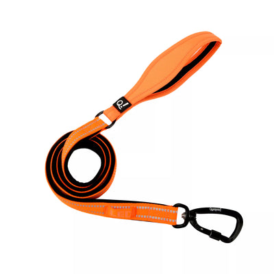 QUAPAS! Reflective padded leash Orange