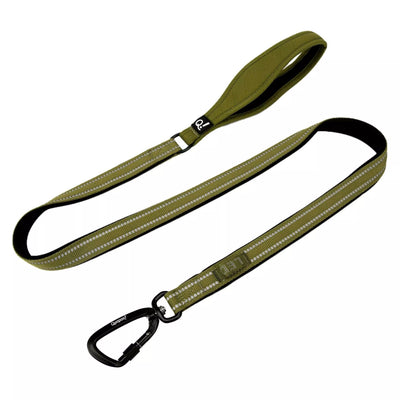 QUAPAS! Reflective padded leash Green