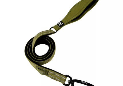 QUAPAS! Reflective padded leash Green
