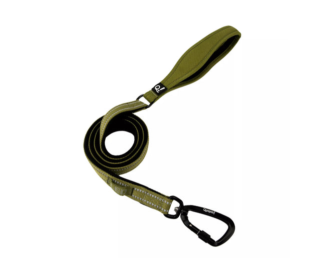 QUAPAS! Reflective padded leash Green