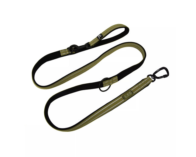 QUAPAS! Reflective adjustable leash Green