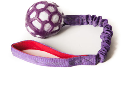 Bungee Purple Ball - White Fur - Purple Handle