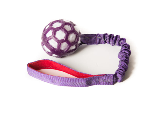 Bungee Purple Ball - White Fur - Purple Handle