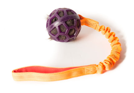 Bungee Purple Ball - Black Fur - Orange Handle