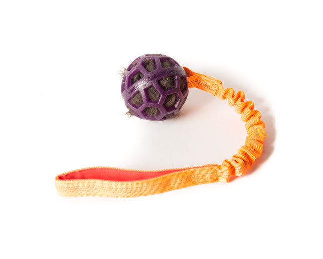 Bungee Purple Ball - Black Fur - Orange Handle