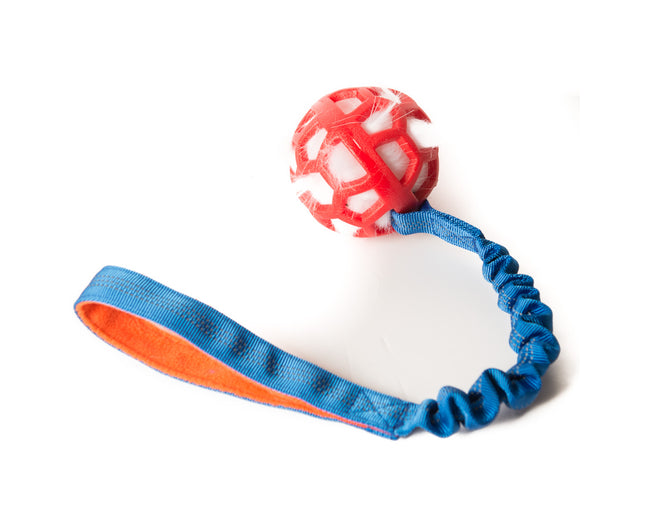 Bungee Red Ball - White Fur - Blue Handle