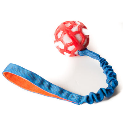 Bungee Red Ball - White Fur - Blue Handle